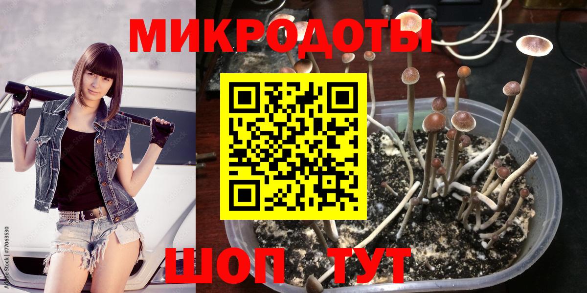Псилоцибиновые грибы мицелий Южно-Сахалинск