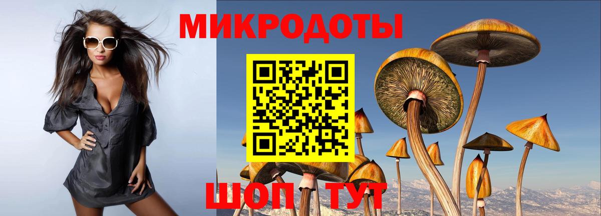 Южно-Сахалинск  Псилоцибиновые грибы Cubensis  Вход с VPN  Галлюциногенные грибы прущие грибы 